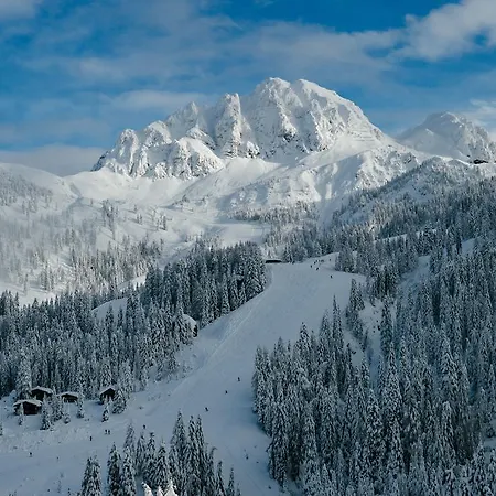 Alpenrose Nassfeld